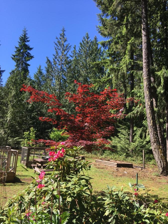 Cedar Song B&B Parksville Exterior photo