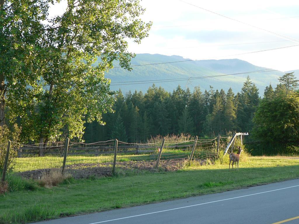 Cedar Song B&B Parksville Room photo