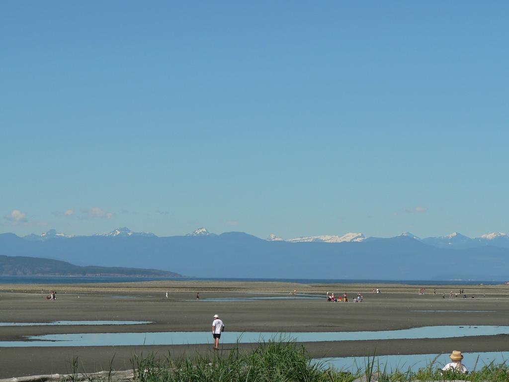 Cedar Song B&B Parksville Room photo