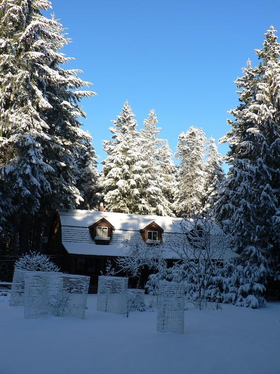Cedar Song B&B Parksville Exterior photo