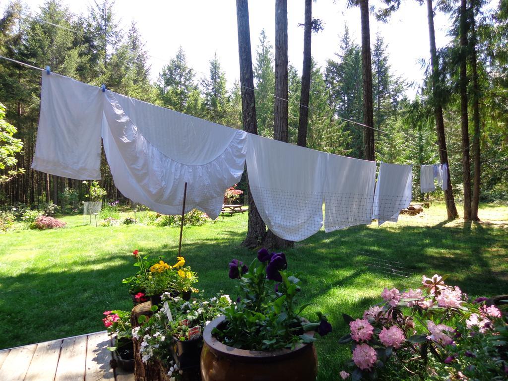 Cedar Song B&B Parksville Exterior photo